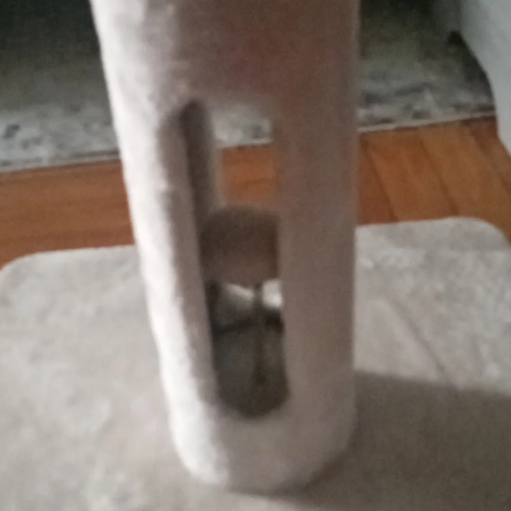 Cat toy